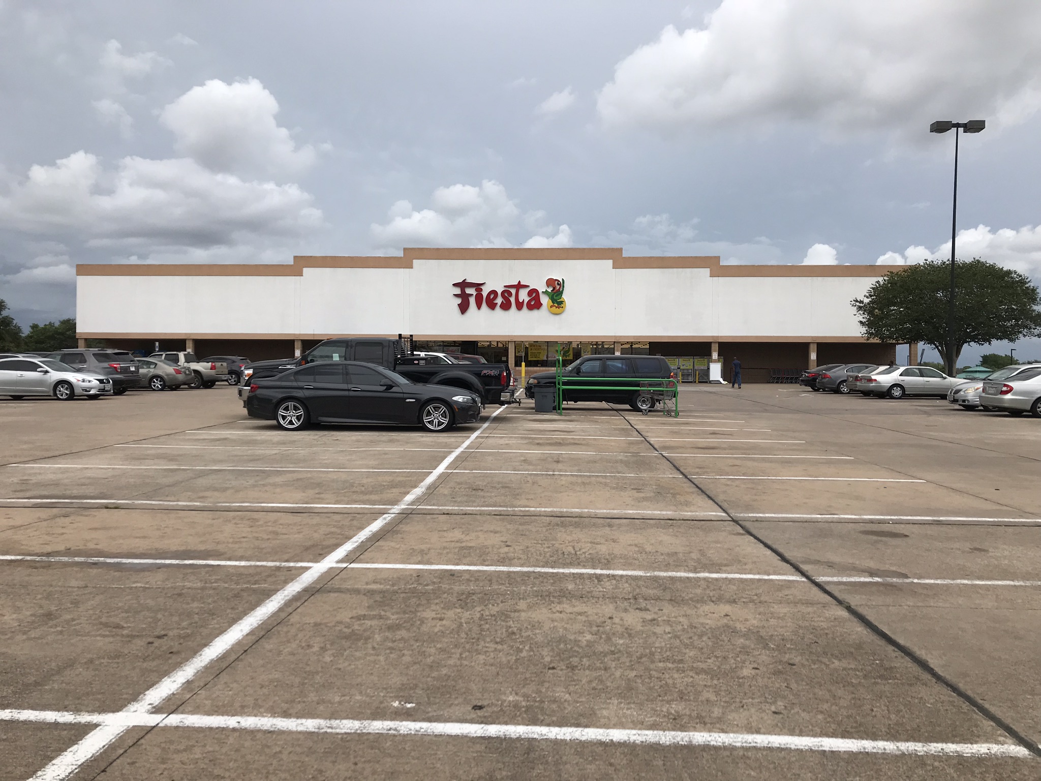 food-lion-houston-historic-retail